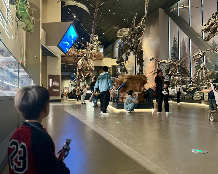 据馆方统计，一年来，中国古动物馆（保定自然博物馆）已累计接待游客超170万人次，网上好评如潮。 刘琦摄