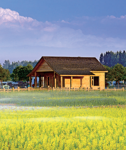     兰陵（代村）国家农业公园油菜花海。资料图片