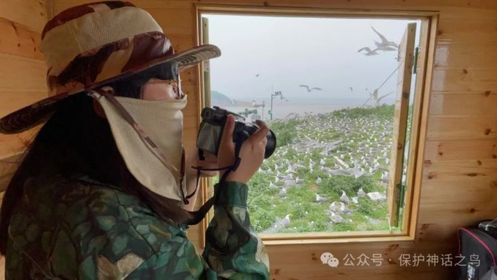 监测员需要“藏”在小屋中观察燕鸥群繁殖情况。图源：“保护神话之鸟”微信公众号