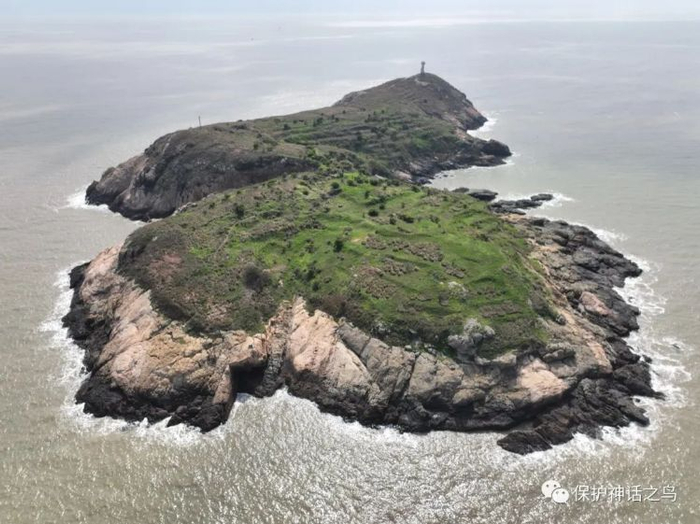 鸟类监测员工作地之一南麂列岛。图源：“保护神话之鸟”微信公众号