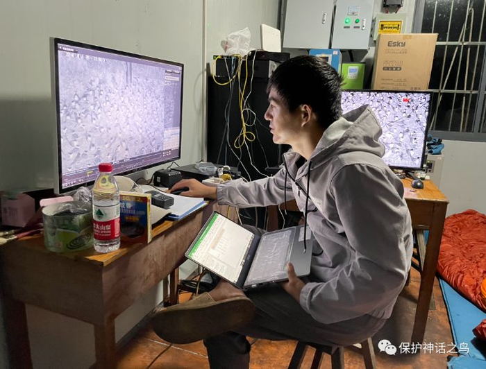 鸟类监测员需要通过视频监控观察燕鸥群繁殖情况。图源：“保护神话之鸟”微信公众号