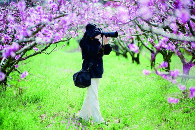     摄影爱好者在仰山村桃园拍摄。资料图片