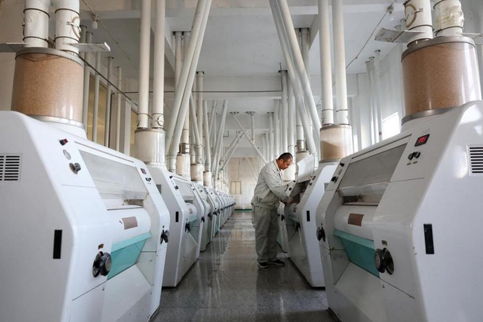 　　安徽昊晨食品有限公司原料加工车间。濉溪县委宣传部供图