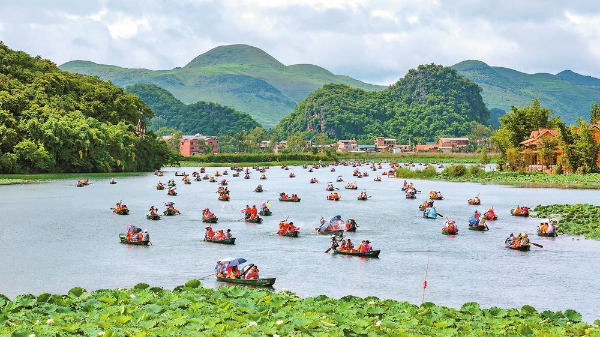 夏日的普者黑清凉怡人。供图