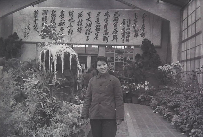 公园内部的花展  资料图片