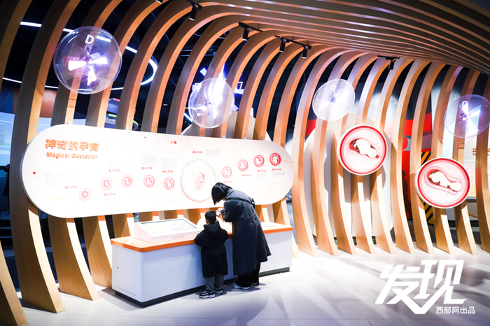 市民游客正在进行科普互动体验。