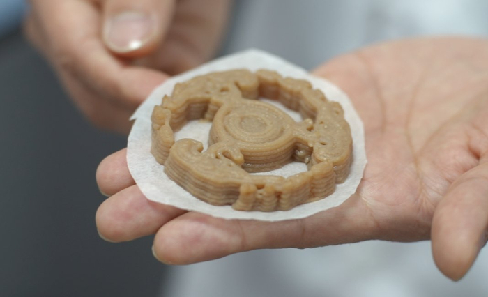 易阳教授团队用藕全粉制作的“风火轮”