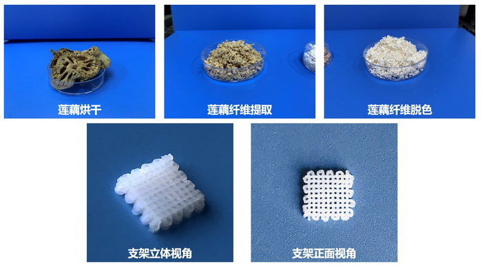 莲藕纤维打印的材料