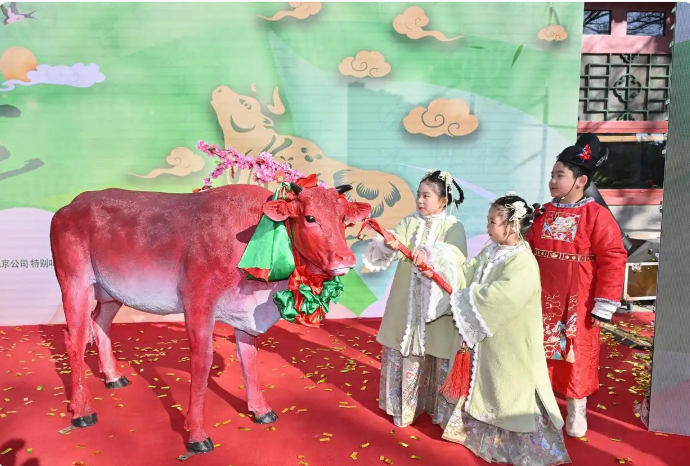 ▲2月3日，立春之日，“春姑娘”手持花枝轻轻鞭打春牛。新华社记者 李鑫摄