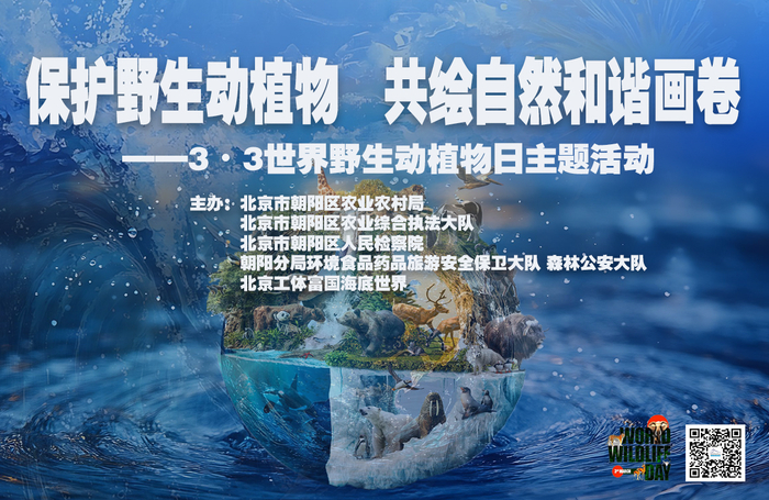 活动海报