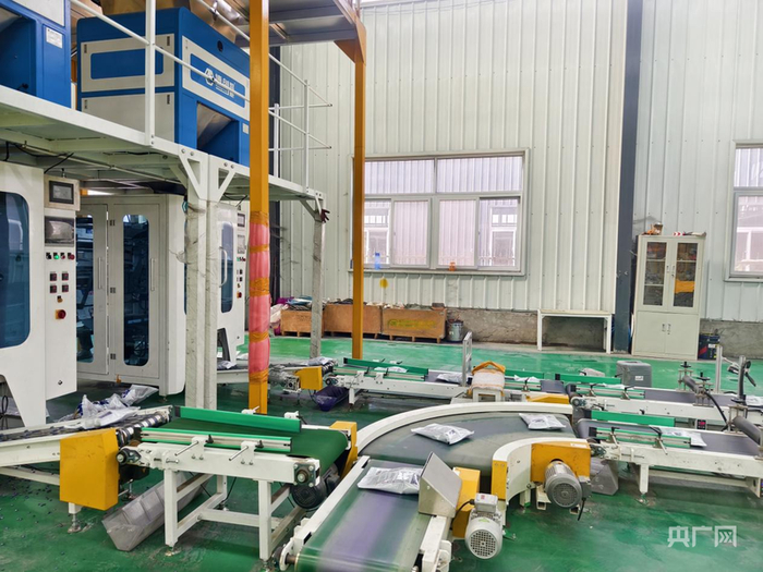 包衣后的玉米种子被自动定量包装（央广网记者  郝振青  摄）