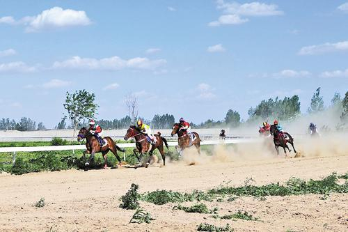     2024年10月25日，远村马术小镇正在举办马术活动。（资料片）庞趁友摄