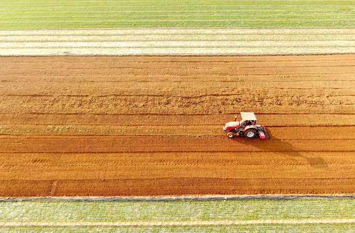 2025年2月4日，山东省临沂市平邑县地方镇农民驾驶农机在翻耕农田。