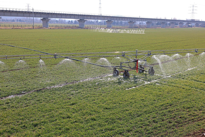 2025年2月24日，枣庄市市中区西王庄镇付刘耀村，智能喷灌机在田间为小麦浇“返青水”