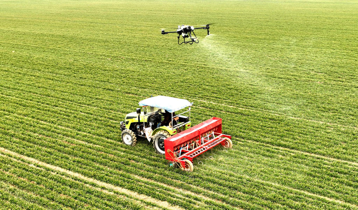 兰考县考城镇黄泛区高标准农田。资料图片