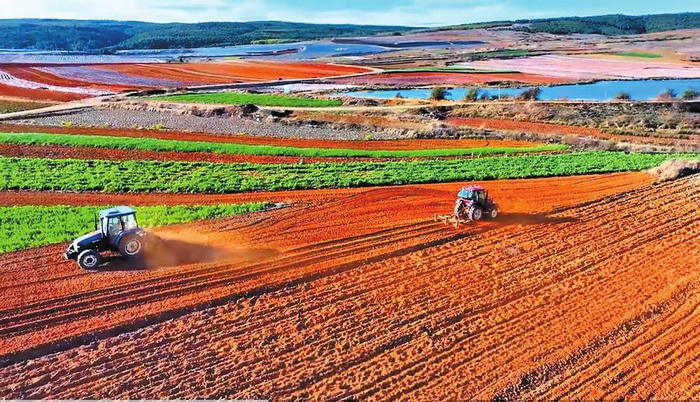 麒麟区抢抓时令开展春耕春种。 通讯员 李丽 摄