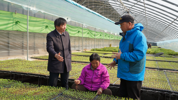 卢庆国（左）在河北省曲周县调研蔬菜育苗、农民工收入和养老等问题