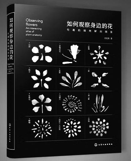 《如何观察身边的花:有趣的植物解剖图鉴》|花朵|读者|花事|花蜜|化学工业_手机新浪网