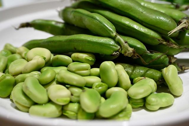 蚕豆并非人人可吃（图源：徐佳敏）