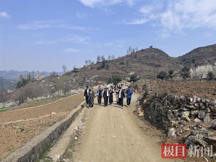 杨妞花在去上坟的路上