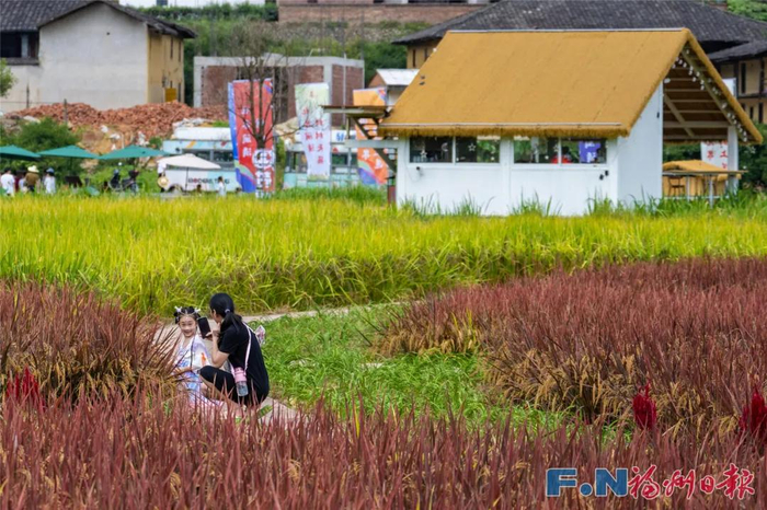 游客在闽清县上莲乡的多彩稻田里游玩。林双伟 摄