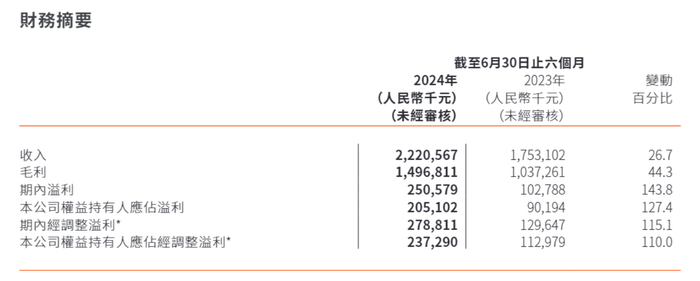 图片来源：2024年中期财报截图