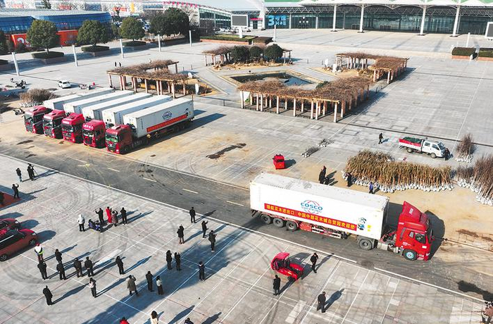 　　1月13日，迪拜3亿元订单第一批货物启运现场。徐勇 摄