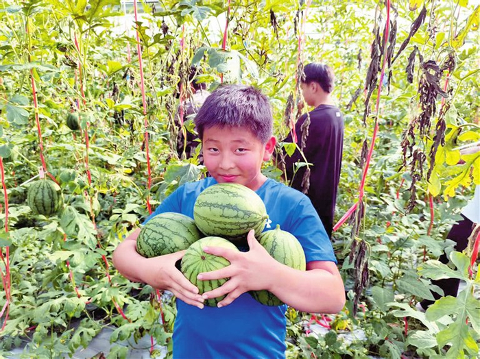 游客在田间地头采摘蔬果。三亚日报记者 冯晨阳 摄
