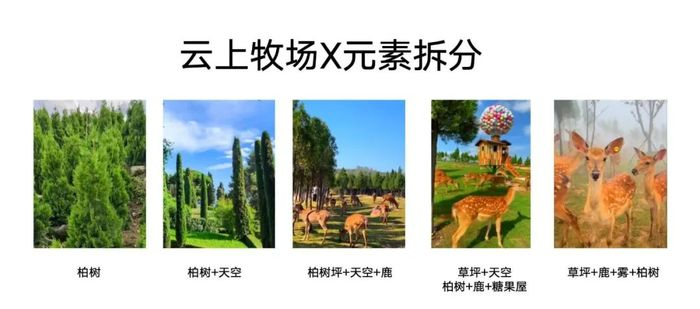 大部分景区只要靠这些元素的堆叠就能爆火。图 / 讲述者提供