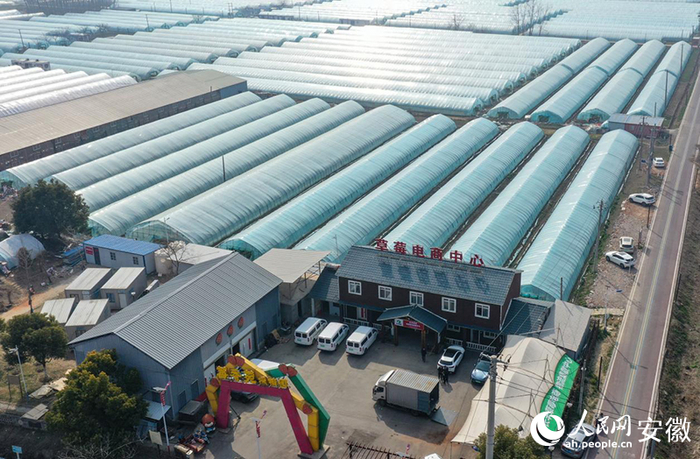 　　俯瞰安徽长丰草莓电商中心。人民网记者 张俊摄