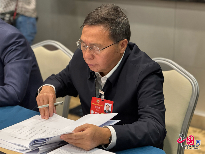 第十四届全国政协外事委员会副主任陈四清发言。中国网记者 刘佳 摄