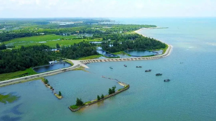 俯瞰山新村  图/港口区资讯