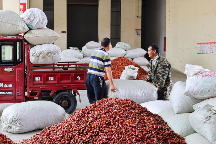 工人在中国辣椒城交易区搬运辣椒。 简垦  摄 （贵州图片库发）