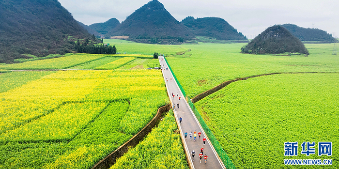  2025曲靖罗平马拉松比赛上，选手在油菜花田间奔跑（2月23日摄）。新华网发（曲靖市融媒体中心 供图）