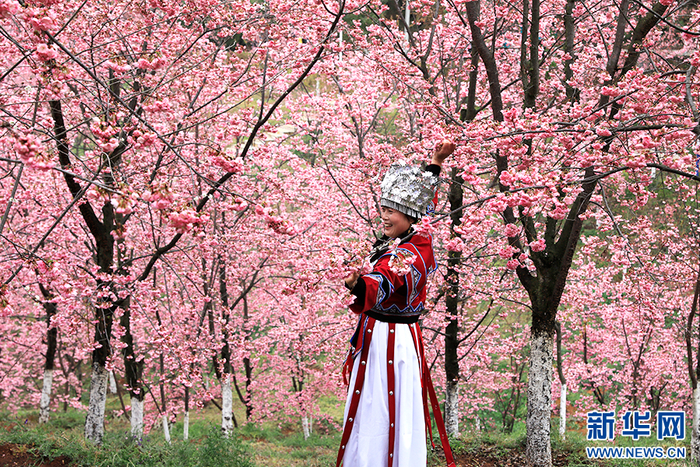 游客正在拍照“打卡”（3月7日摄）。新华网 李娜 摄