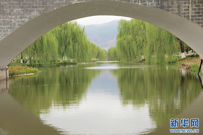 乘船进入麒麟水乡，河道两旁绿意盎然（3月6日摄）。新华网 李娜 摄