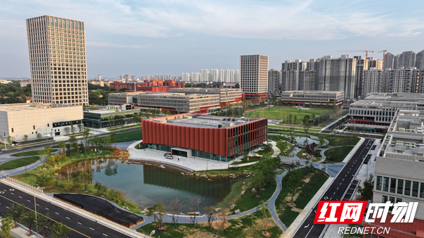 ▲岳麓山实验室农科院片区。