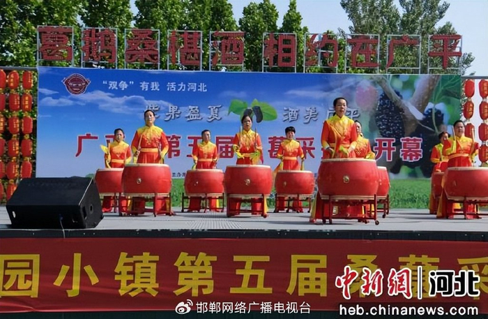 图为广平县举办的第五届桑葚采摘节。 武小凯 摄