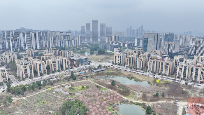 2025年3月10日，俯瞰位于四川省成都市双流区的电子科大科技园（天府园）一栋栋高楼拔地而起。