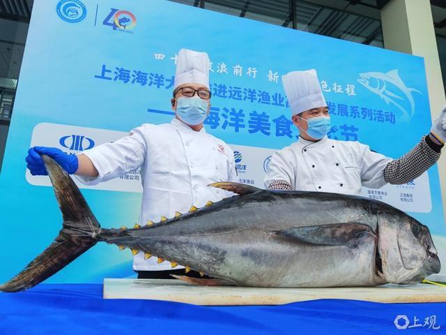 超百斤金枪鱼。 徐瑞哲 摄