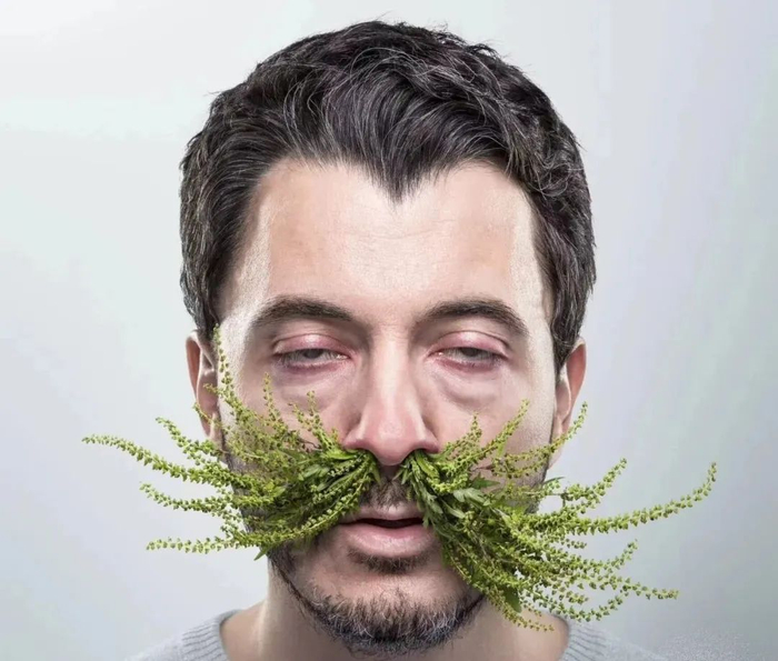 图源：4A广告门