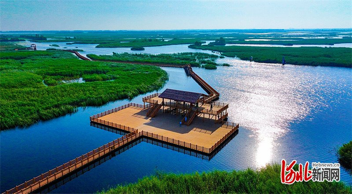 2024年7月5日无人机航拍的雄安新区白洋淀十里长廊。（河北日报资料片）河北日报记者 耿辉 摄