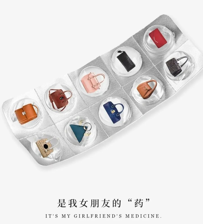 图源：会飞的仙人球