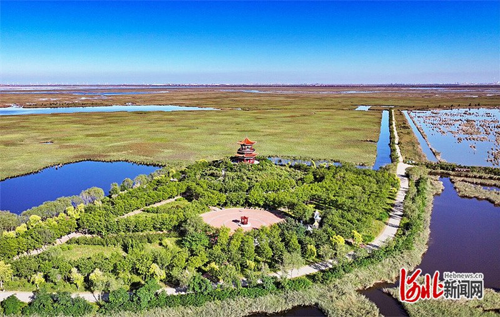 2024年9月15日，记者航拍的沧州南大港湿地和鸟类自然保护区。（河北日报资料片）河北日报记者 张昊摄