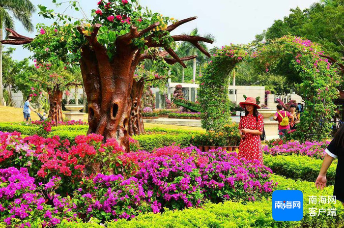 游客在三亚崖州湾科技城三角梅科博园游玩。受访者供图