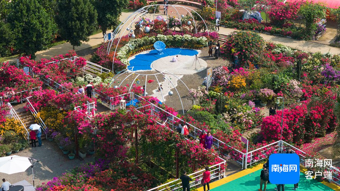 游客打卡三角梅共享农庄。受访者供图