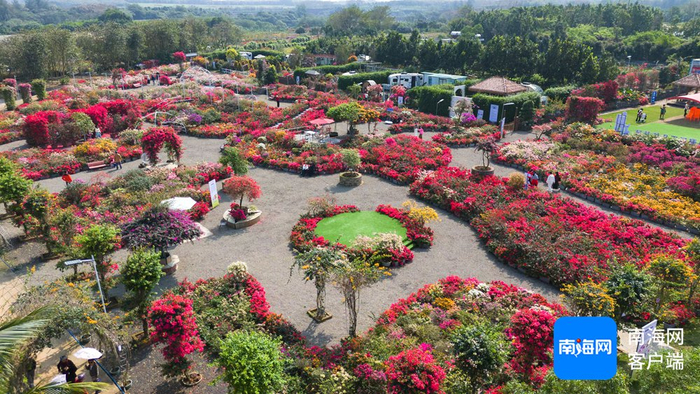 三角梅共享农庄。受访者供图