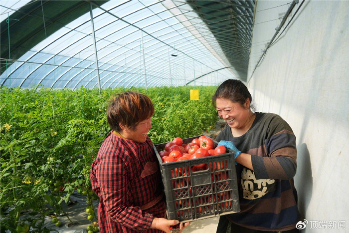 图 | 河南日报视觉中心
