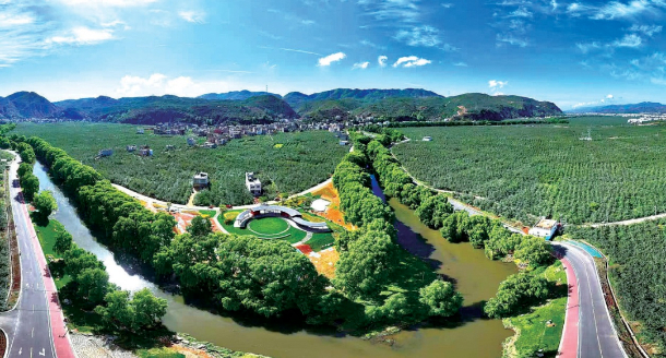 巡龙村的果园 图源：“云南省文化和旅游厅”微信公众号