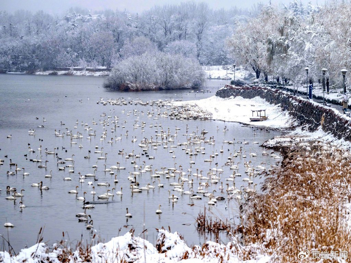 图 | 河南日报视觉中心